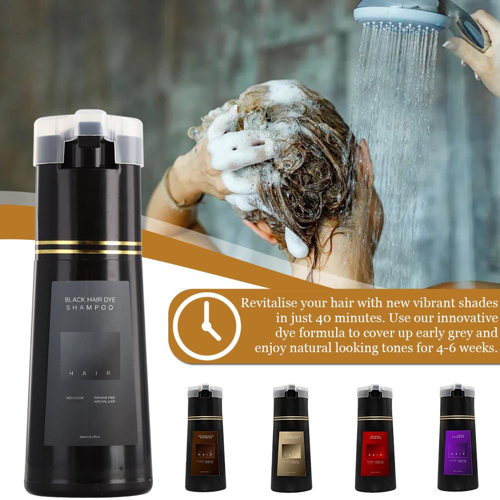 200ml 10 Minutes Fast Hair Dye - Hair Spray Color ulasan dan harga